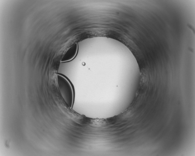 X0000102490141200808291658