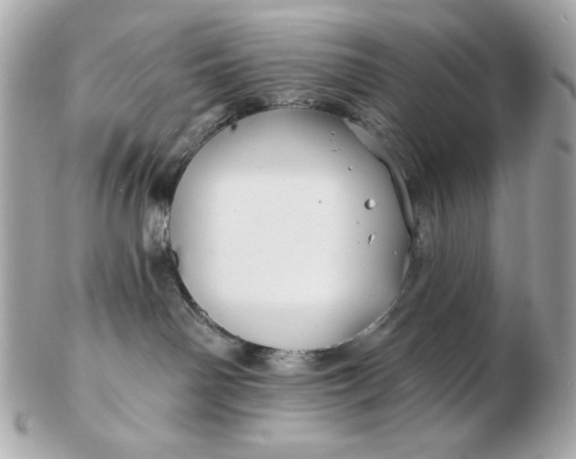 X0000102490142200808291658