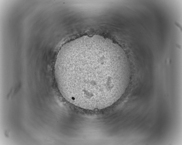 X0000102490144200808291658