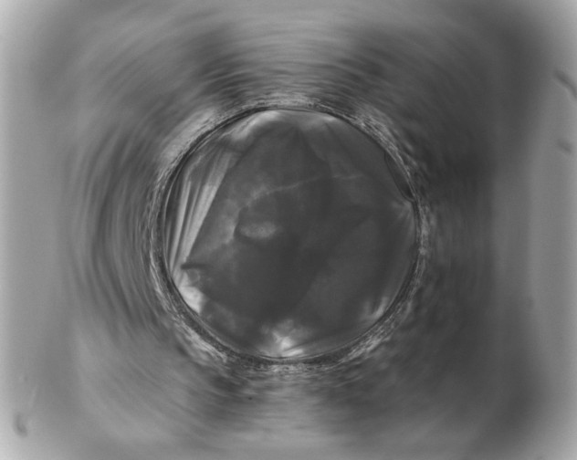 X0000102490145200808291657