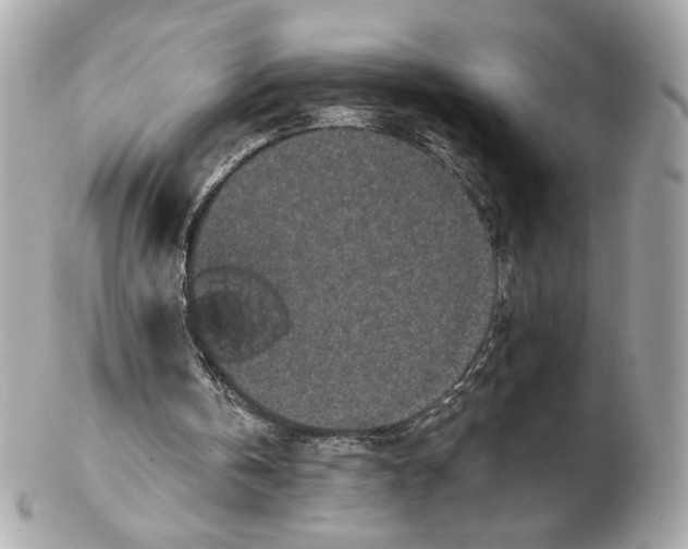 X0000102490146200808291657