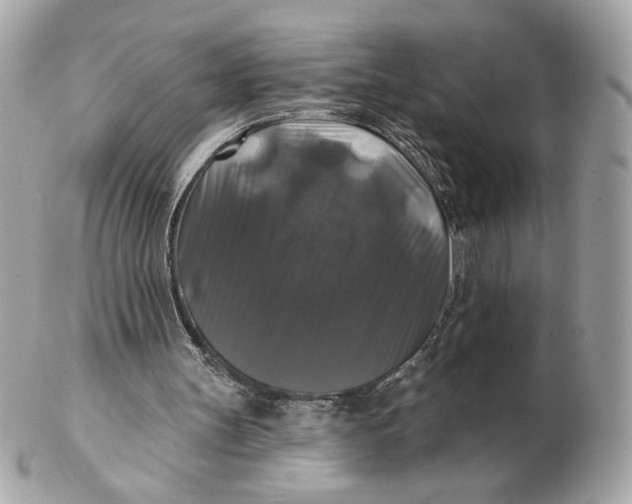 X0000102490147200808291657