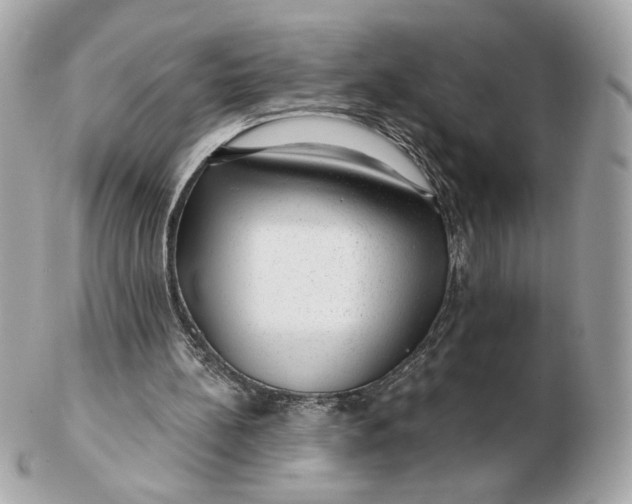 X0000102490148200808291657