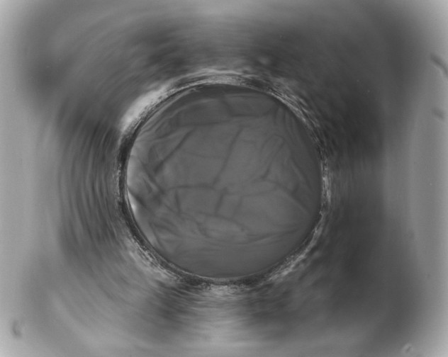 X0000102490149200808291657