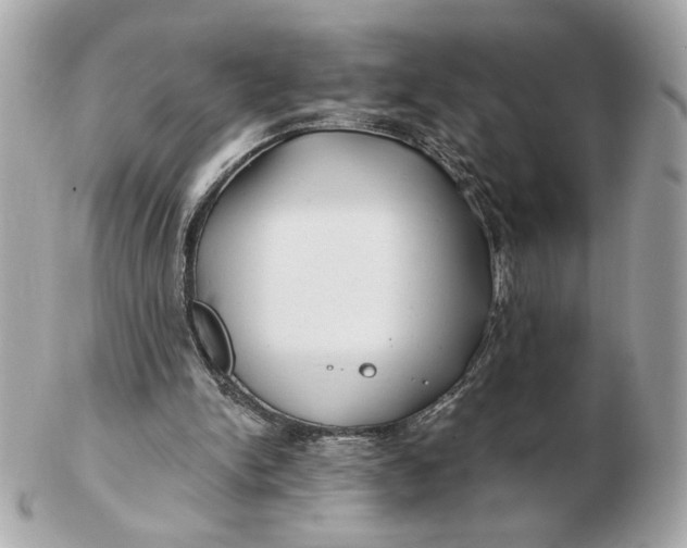 X0000102490150200808291657