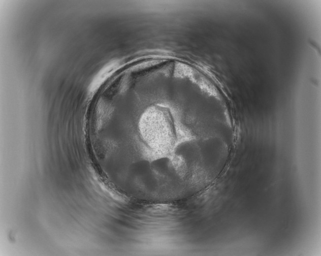 X0000102490151200808291657