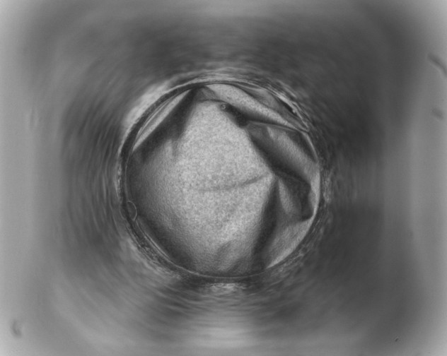 X0000102490152200808291657