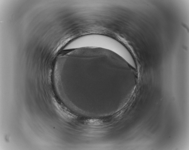 X0000102490154200808291657