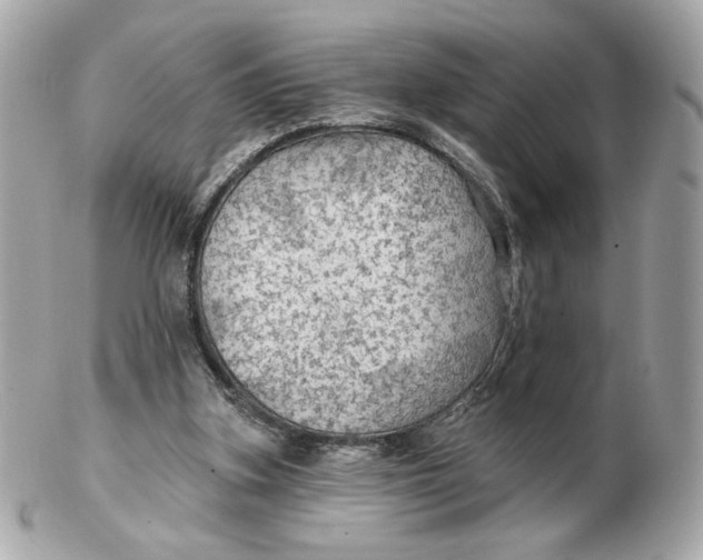 X0000102490155200808291657