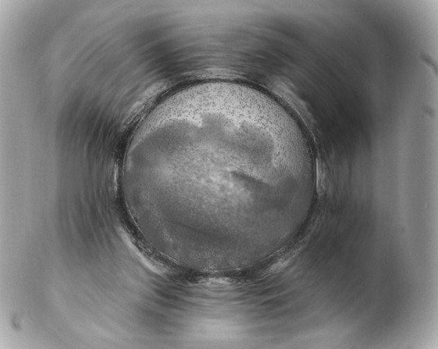 X0000102490157200808291657