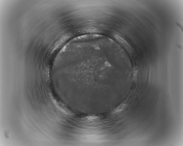 X0000102490158200808291657