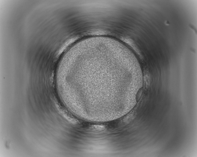 X0000102490159200808291657