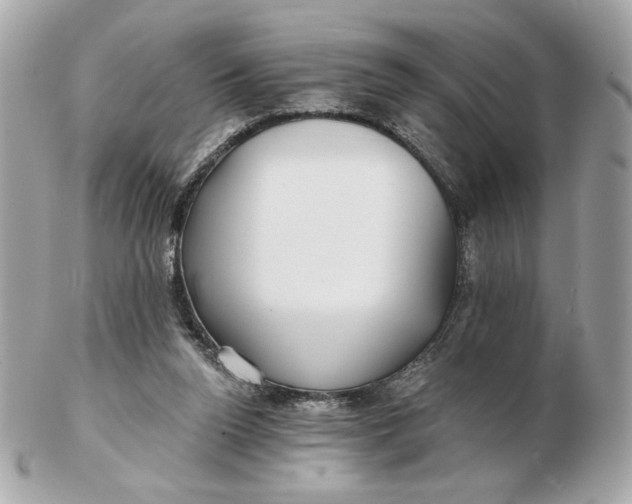 X0000102490160200808291657