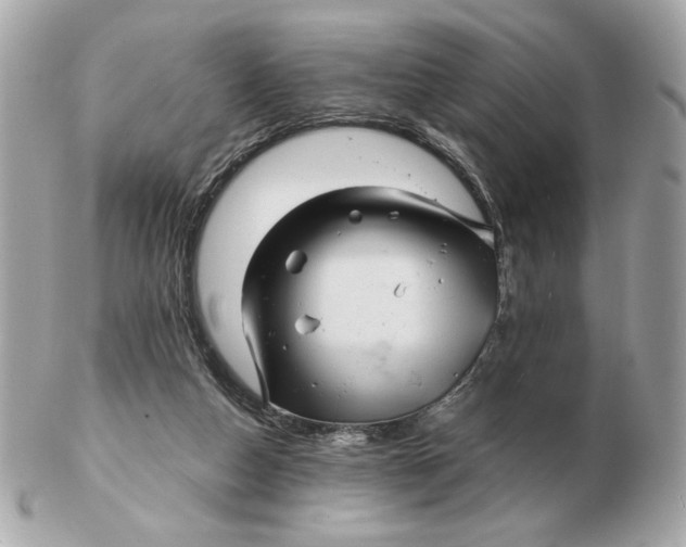 X0000102490162200808291657