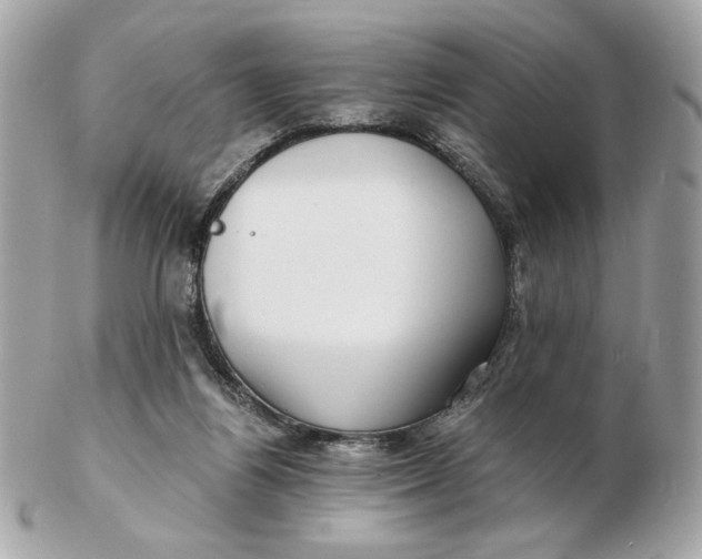 X0000102490164200808291657