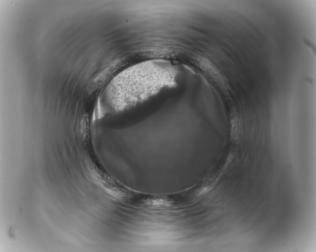 X0000102490165200808291657