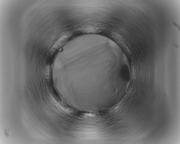 X0000102490167200808291657