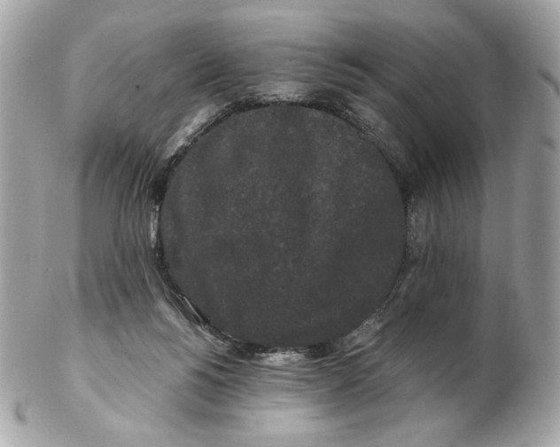 X0000102490168200808291657