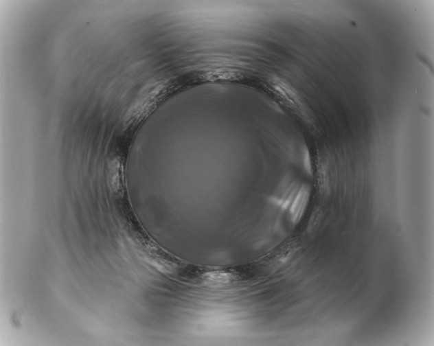 X0000102490169200808291657