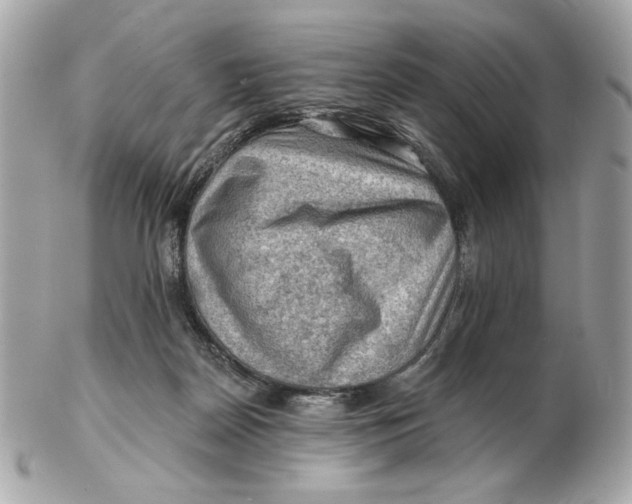 X0000102490170200808291657