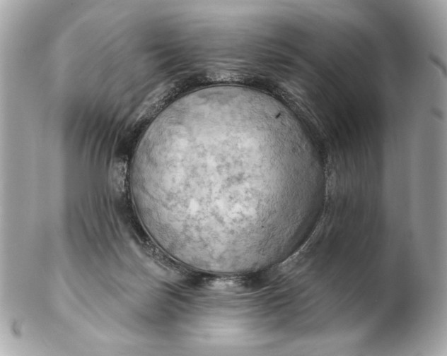 X0000102490171200808291657