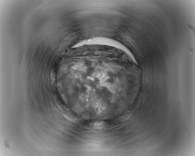 X0000102490173200808291657