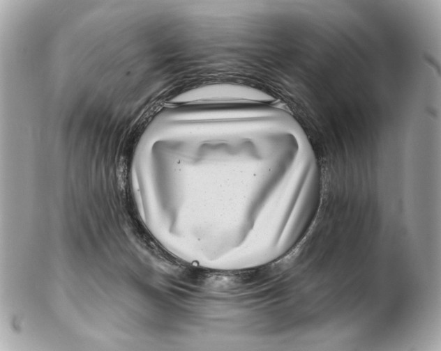 X0000102490174200808291657