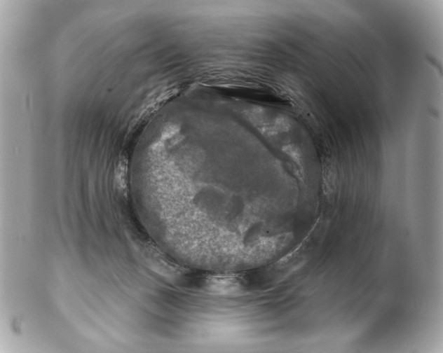 X0000102490175200808291657