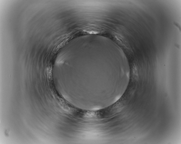 X0000102490177200808291657