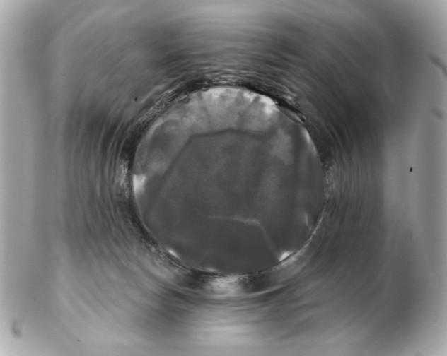 X0000102490178200808291657