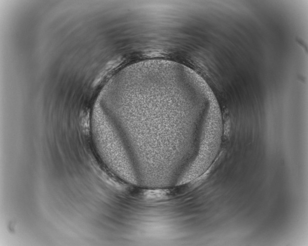 X0000102490179200808291657