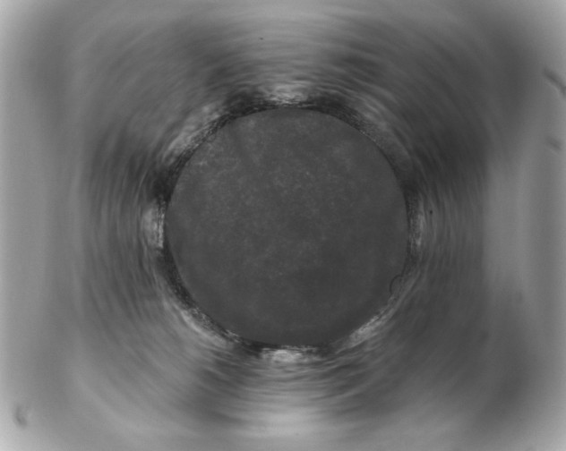 X0000102490180200808291657