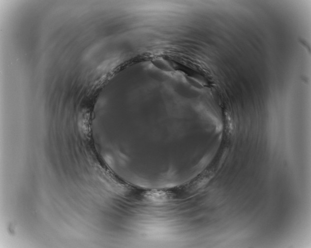 X0000102490181200808291657