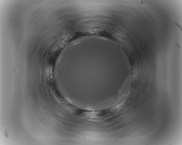 X0000102490182200808291657