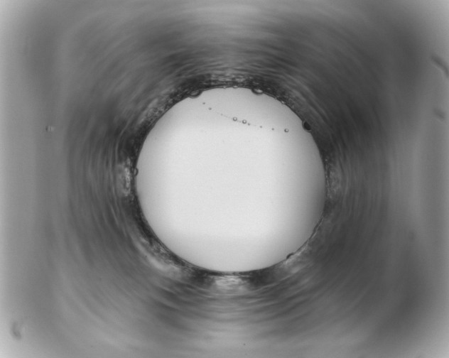 X0000102490183200808291657