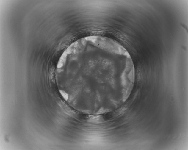 X0000102490185200808291657