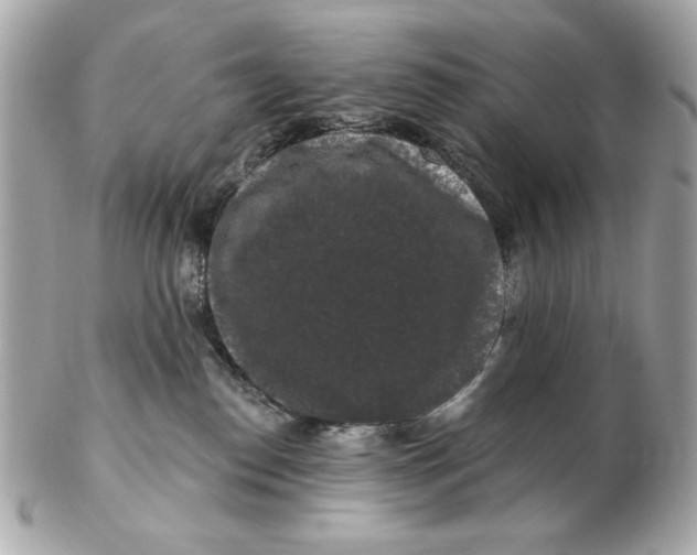 X0000102490186200808291657