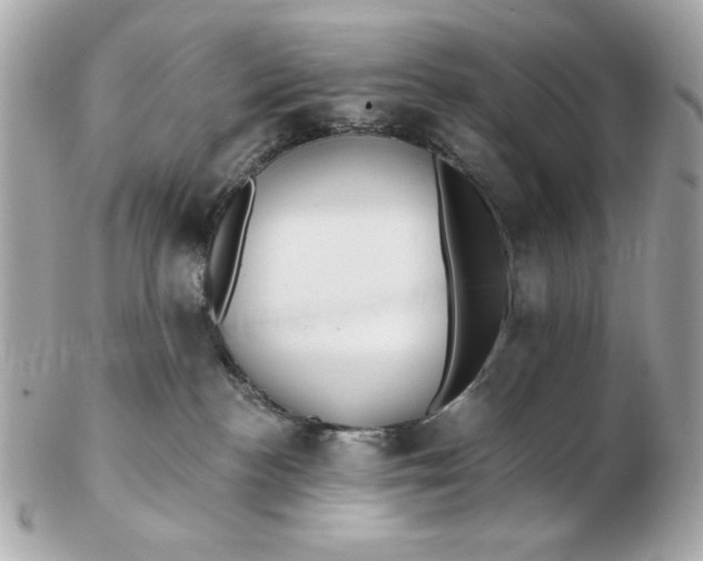 X0000102490188200808291657