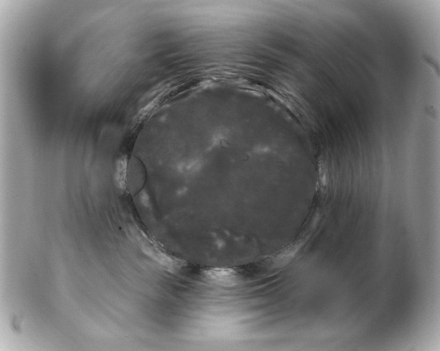 X0000102490189200808291657