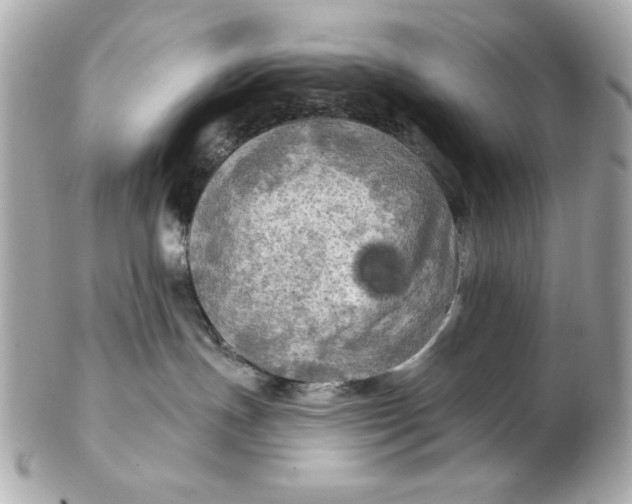 X0000102490191200808291658