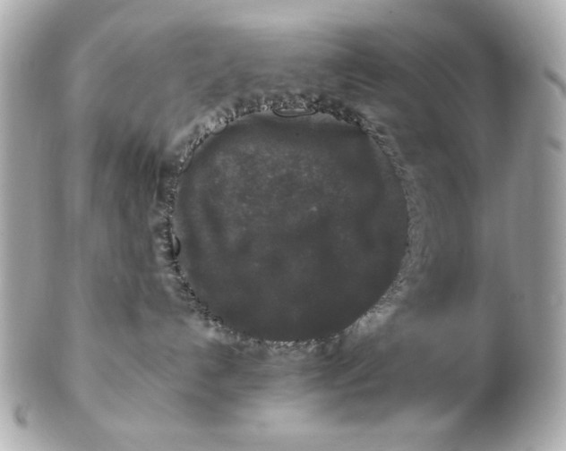 X0000102490192200808291658