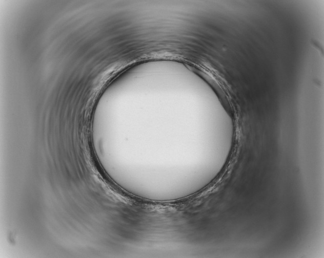 X0000102490193200808291657