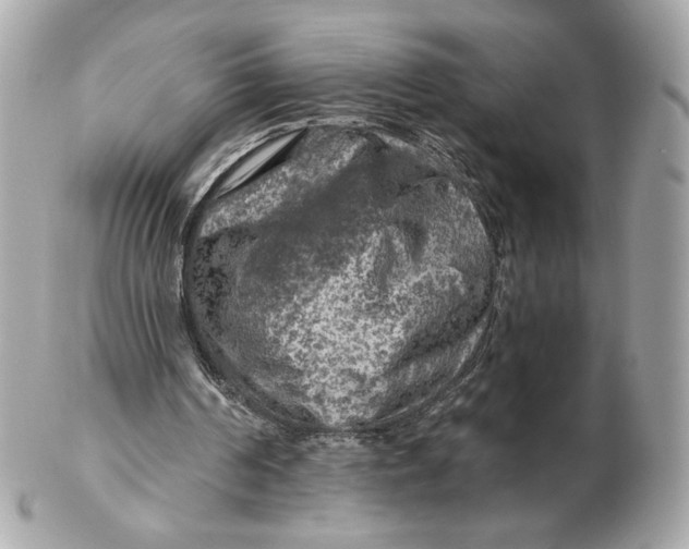 X0000102490194200808291657