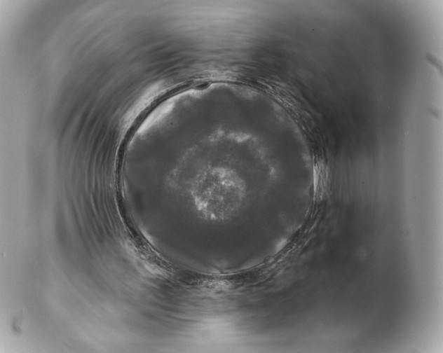 X0000102490195200808291657