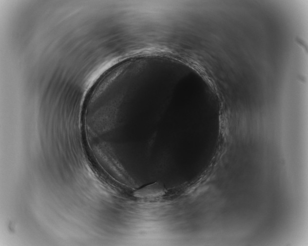 X0000102490196200808291657