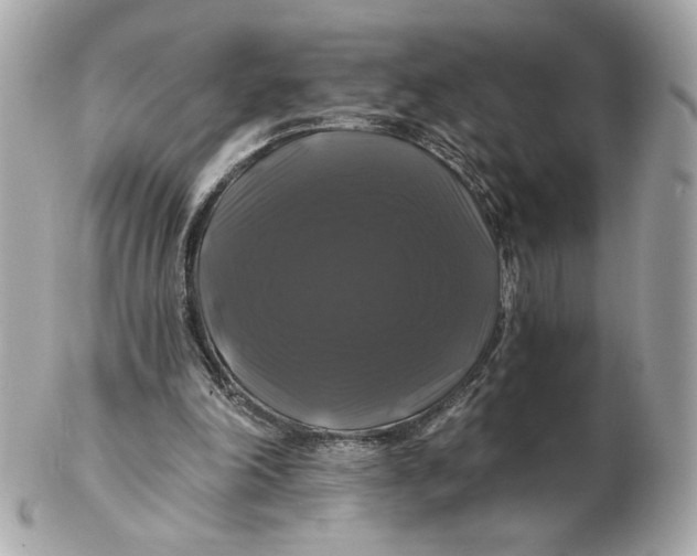 X0000102490198200808291657