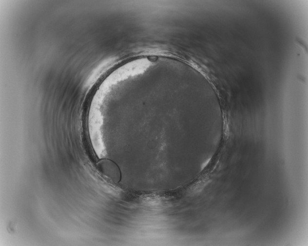 X0000102490199200808291657