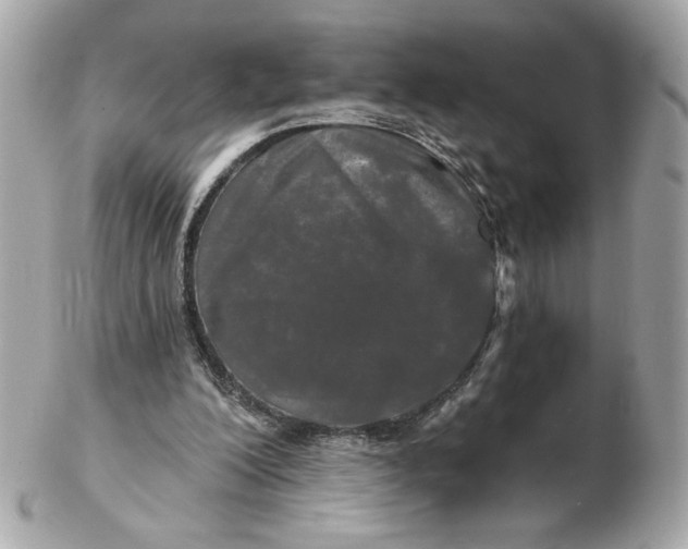 X0000102490200200808291657