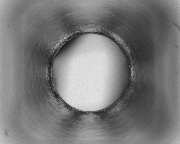 X0000102490201200808291657