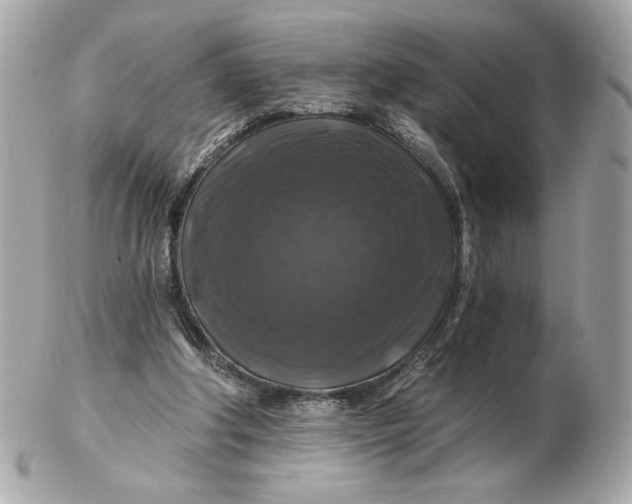 X0000102490202200808291657